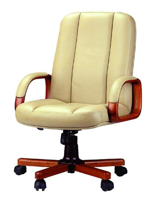 真皮中班椅CG-JDDBY-28M